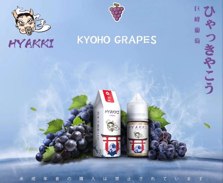 日系HYAKKI哈亞齊30ML/35MG 原裝進口小煙油 哈亞齊水果系列