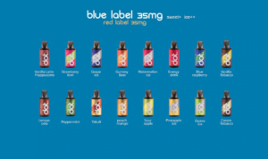 DotMod DotSwitch 單杆/一次性煙彈 單杆便攜 口味豐富 口感滑順